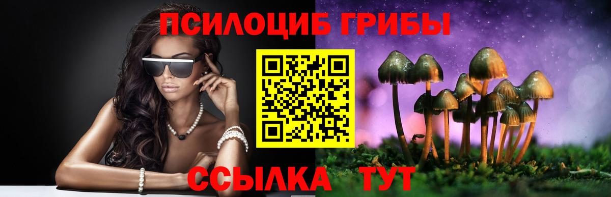 Псилоцибиновые грибы Psilocybe Балашов
